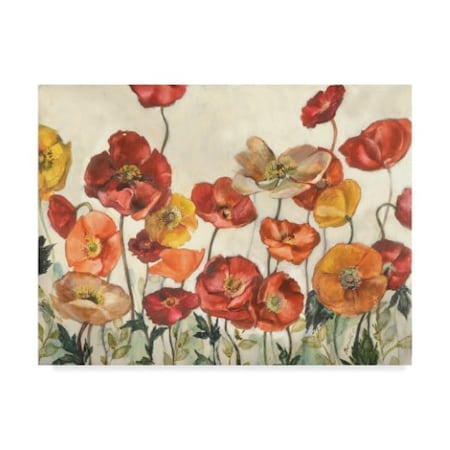 Marietta Cohen Art And Design 'Field Of Poppies Red' Canvas Art,18x24
